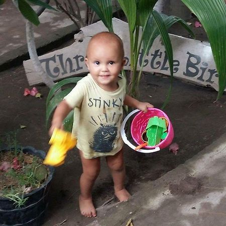 Three Little Birds Homestay กีลีตราวางัน ภายนอก รูปภาพ