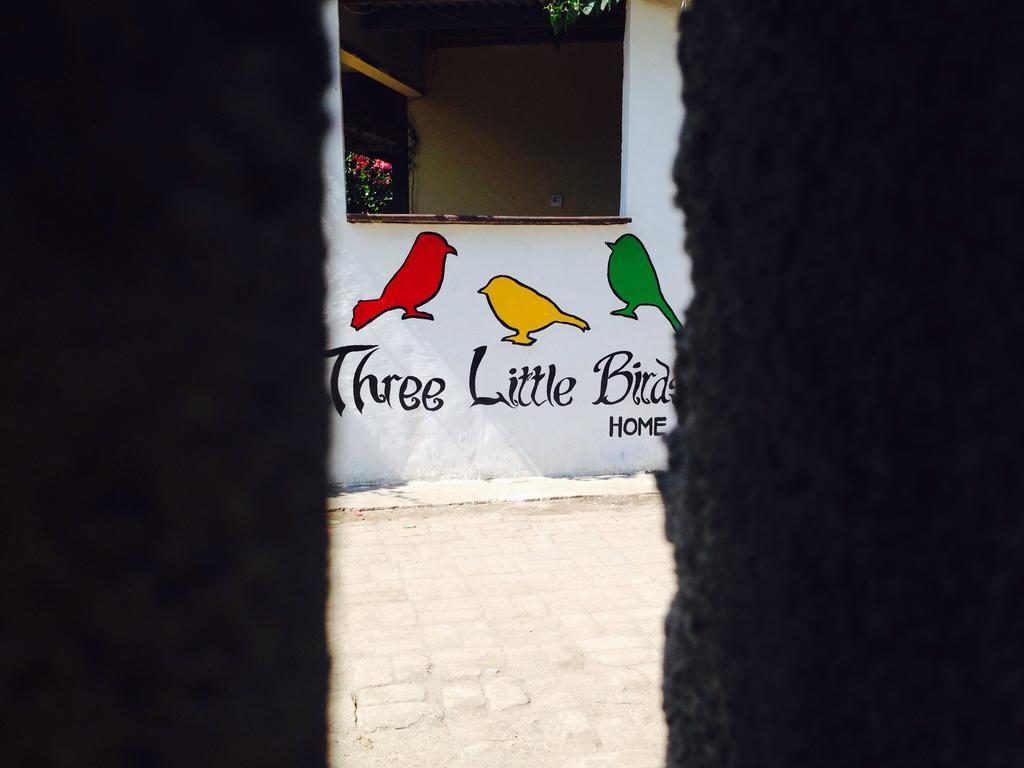 Three Little Birds Homestay กีลีตราวางัน ภายนอก รูปภาพ