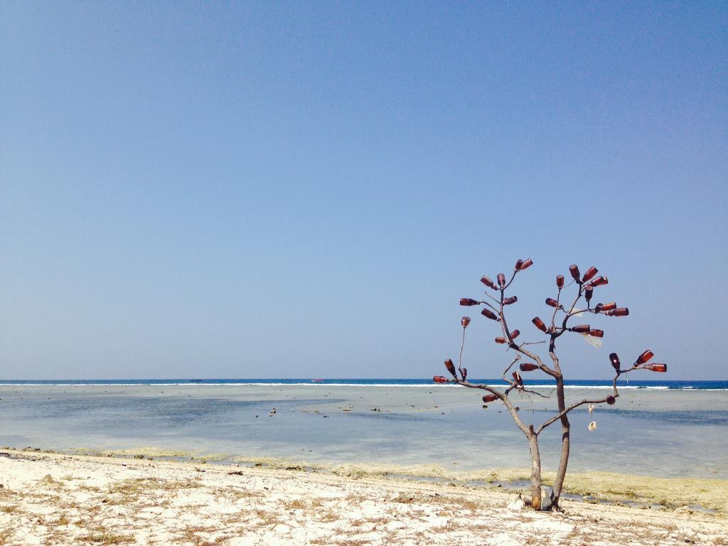 Three Little Birds Homestay กีลีตราวางัน ภายนอก รูปภาพ