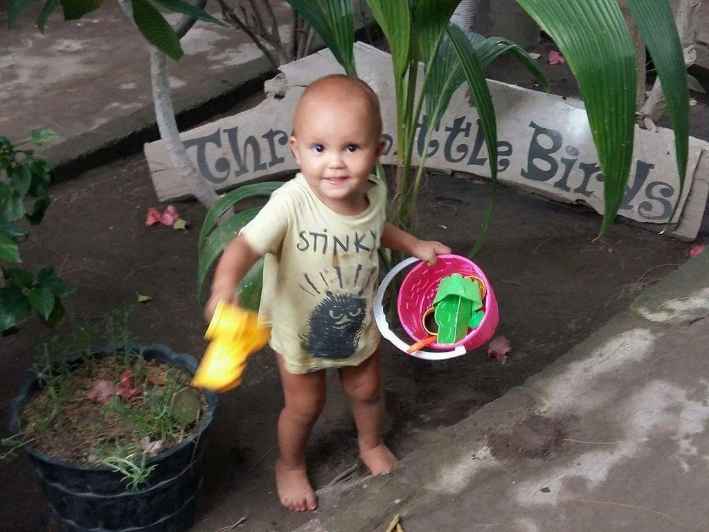 Three Little Birds Homestay กีลีตราวางัน ภายนอก รูปภาพ